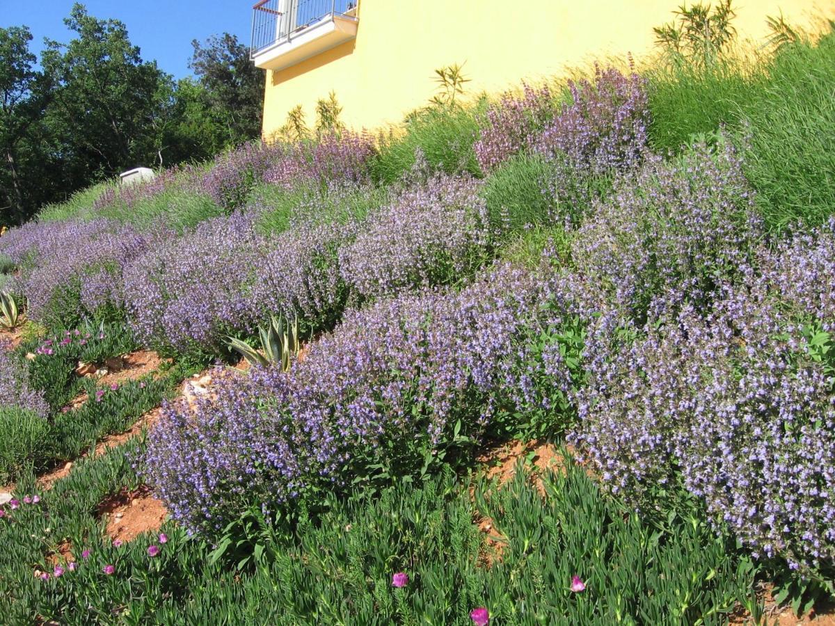 Villa Katarina Mošćenička Draga Esterno foto